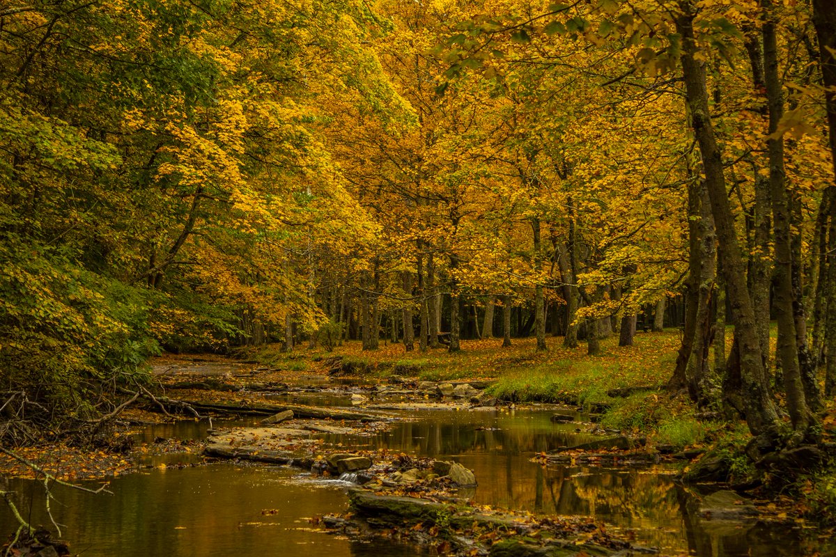 Congratulations to our 2023 #ScenicSWPA Fan Favorites Competition winner, Jacob Ford! You can find his work at Jacob H Ford Photography. His winning entry, " Mingo Creek in Autumn," received 183 votes!  We will be announcing ALL OUR WINNERS tomorrow, so stay tuned!