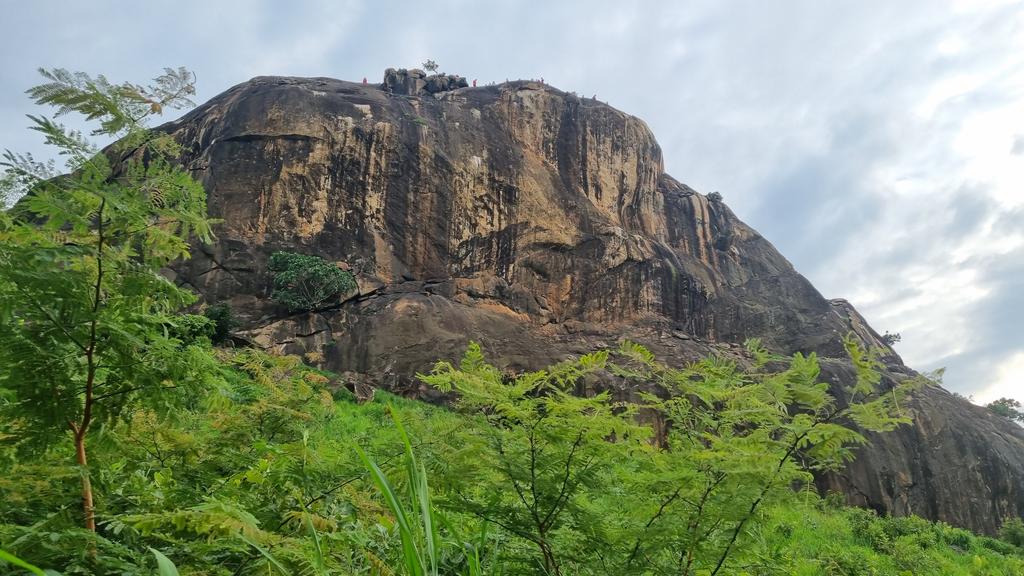 SemeWani's tweet photo. The land of great abundance and beauty. As we mark 🇸🇸 12 Independence Day, a shift towards making use of this green landscape for #Agriculture and Tourism will reduce dependence on aid. The untold story of #SouthSudan. https://t.co/p8DcrDlJkJ