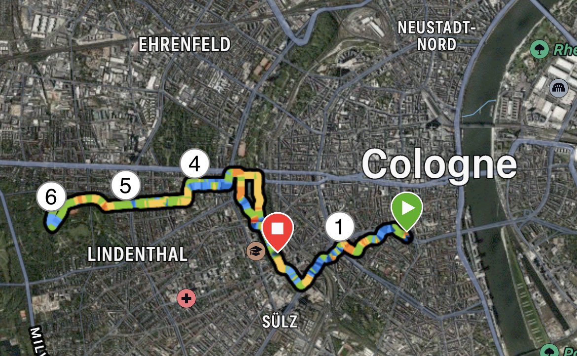 Contributing 10 km to this year’s #NCTrun with <a href="/s_vanBoerdonk/">Sarah van Boerdonk 🌱</a> <a href="/NCT_HD/">NCT Heidelberg</a> for team <a href="/DKFZ/">DKFZ</a>