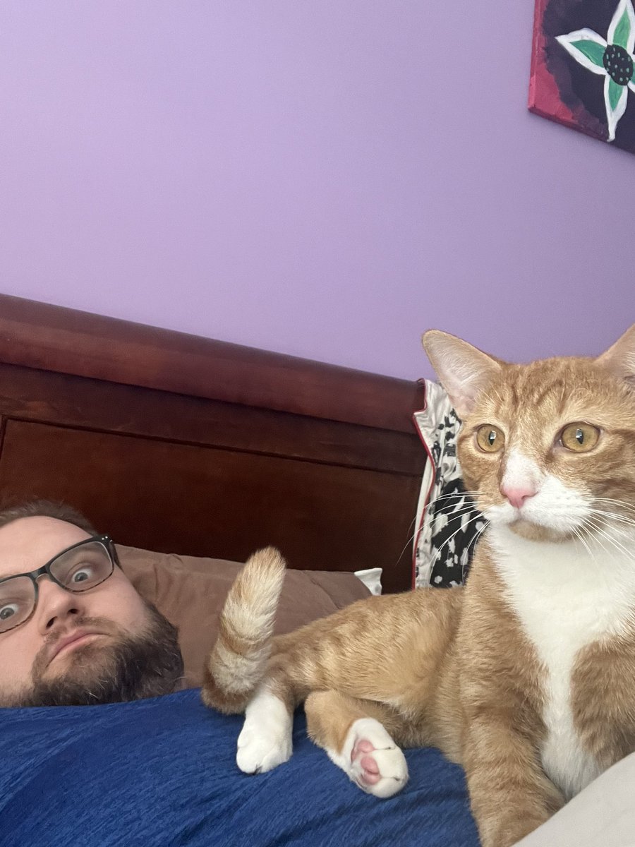 sindri_aron's tweet photo. Two very different cat-parent vibes #CatsOfTwitter #Tookah #Caturday https://t.co/7mOfmplCgW