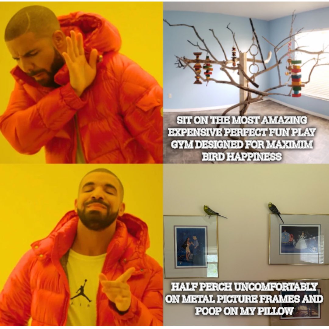 Kristen Morris (@keetfids) on Twitter photo 