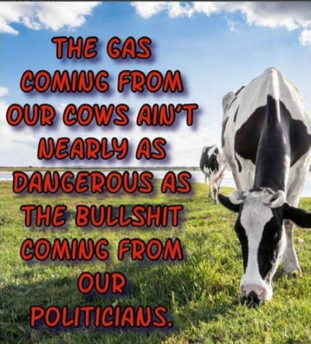 MrsDDC's tweet image. 