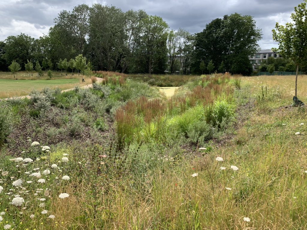 RachaelStokes's tweet photo. Excited by my first visit to #springfieldpark with the family this afternoon. Lovely landscaping, wildlife friendly planting and a trim trail to keep the kids occupied. Can’t wait for the rest of it to be finished. #Earlsfield #loveEarlsfield #springfieldhospital https://t.co/NE6PI4vJ7Y