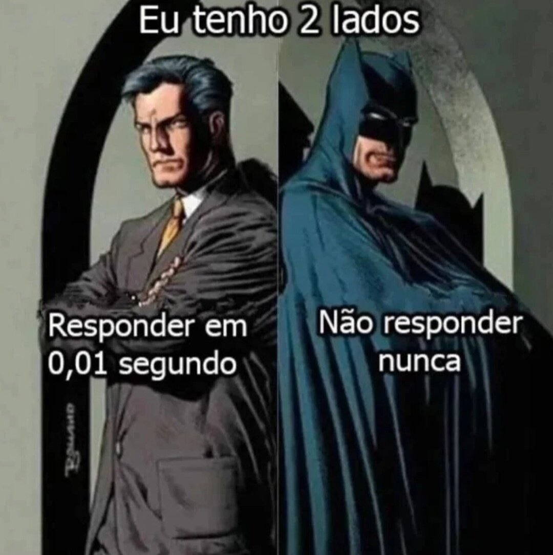 Pérolas dos memes (@perolasmemees) on Twitter photo 