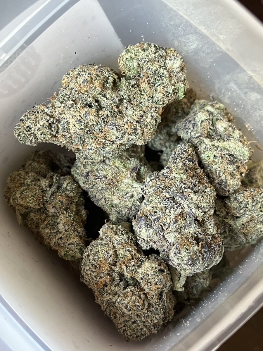 CoralReefer420's tweet photo. rise and shine ✨ 🍃 https://t.co/UOibH6TElR