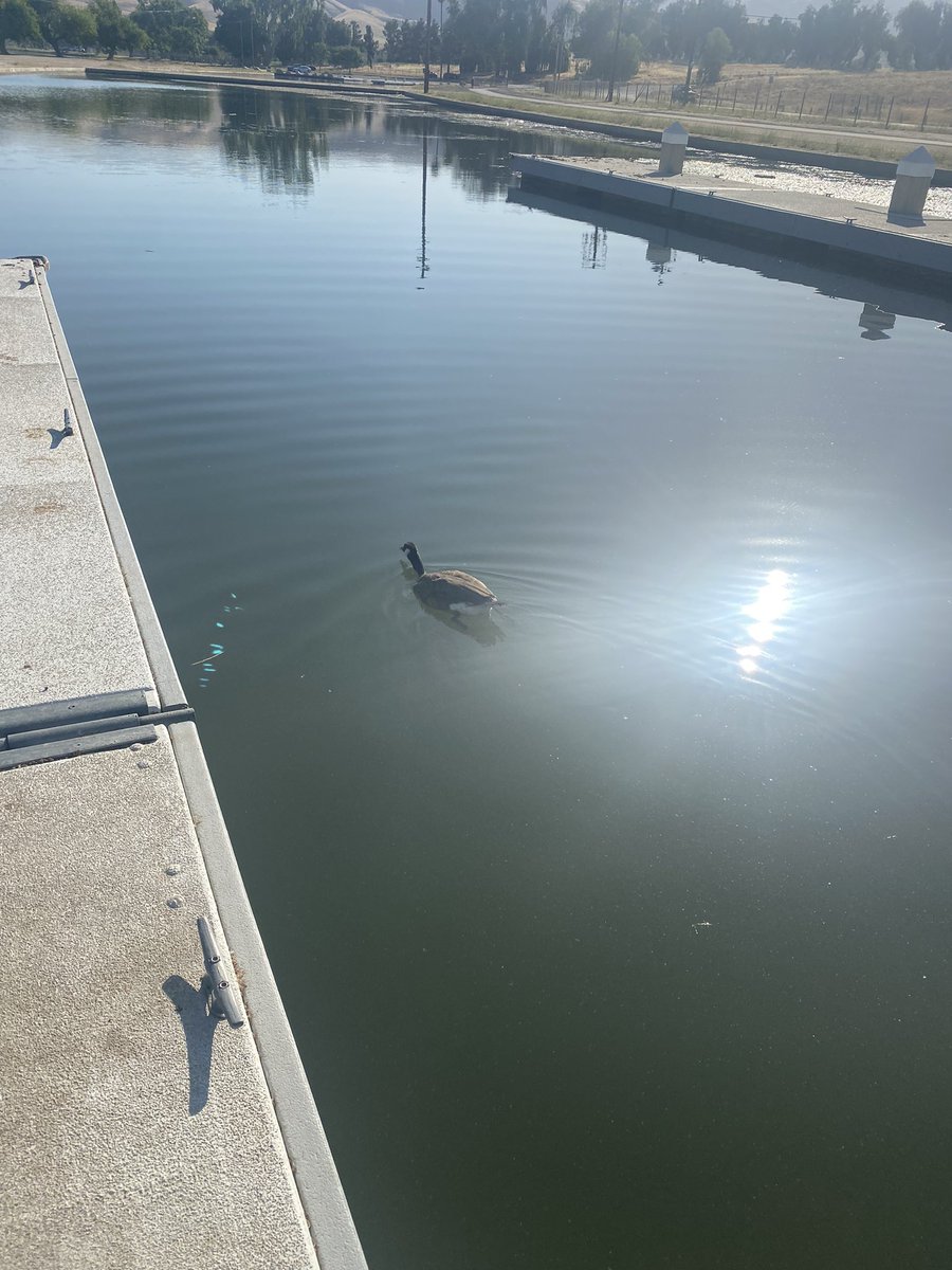 FernetJames's tweet photo. Marking a new trail left alone came back carrying an injured goose Hashtag
#GUFORIT
#GUEnergyLabs
#2023SaltysSquad
#NoxGear
#GetSprints
#TeamIBProFun https://t.co/ZMzNQRenzv
