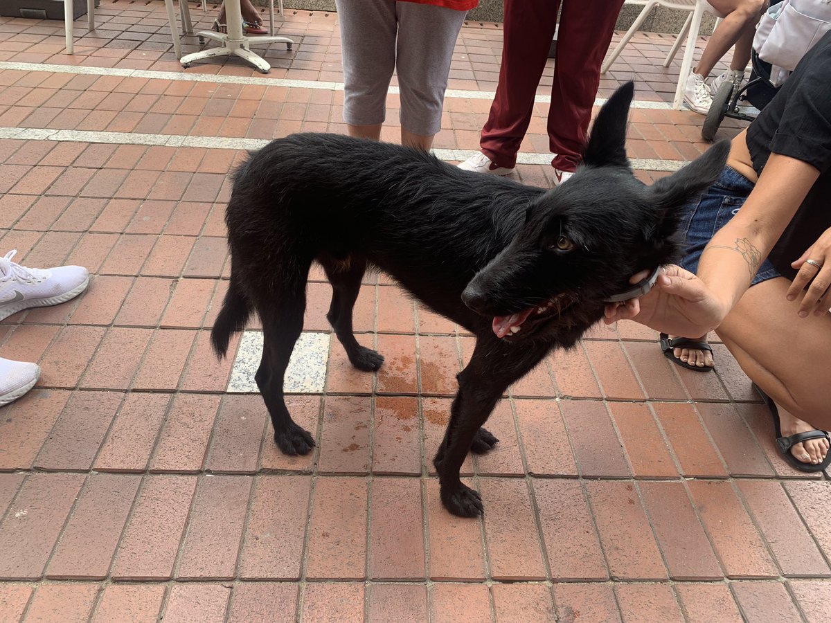 Pedro Jiménez Pérez tweet media