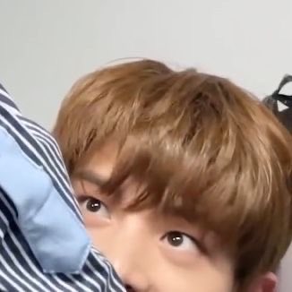 2JJKIFEED's tweet photo. A cutie baby puppy is peeking
#JAKE https://t.co/LGxEzPA2vB