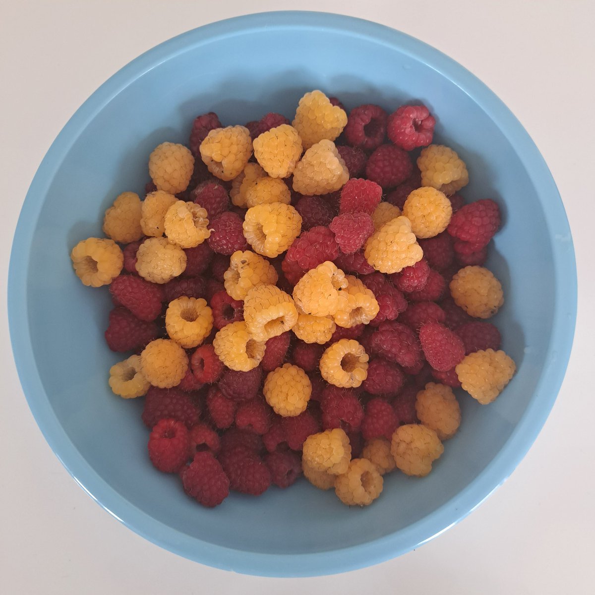 Countess WestMTS 🌞☕🎶🐈🐈✖️➕️➖️➗️🟰 tweet media