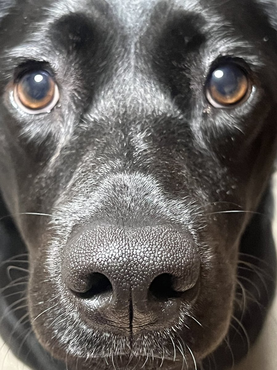 3倍で撮った時の問題点。

めちゃくちゃ近い。