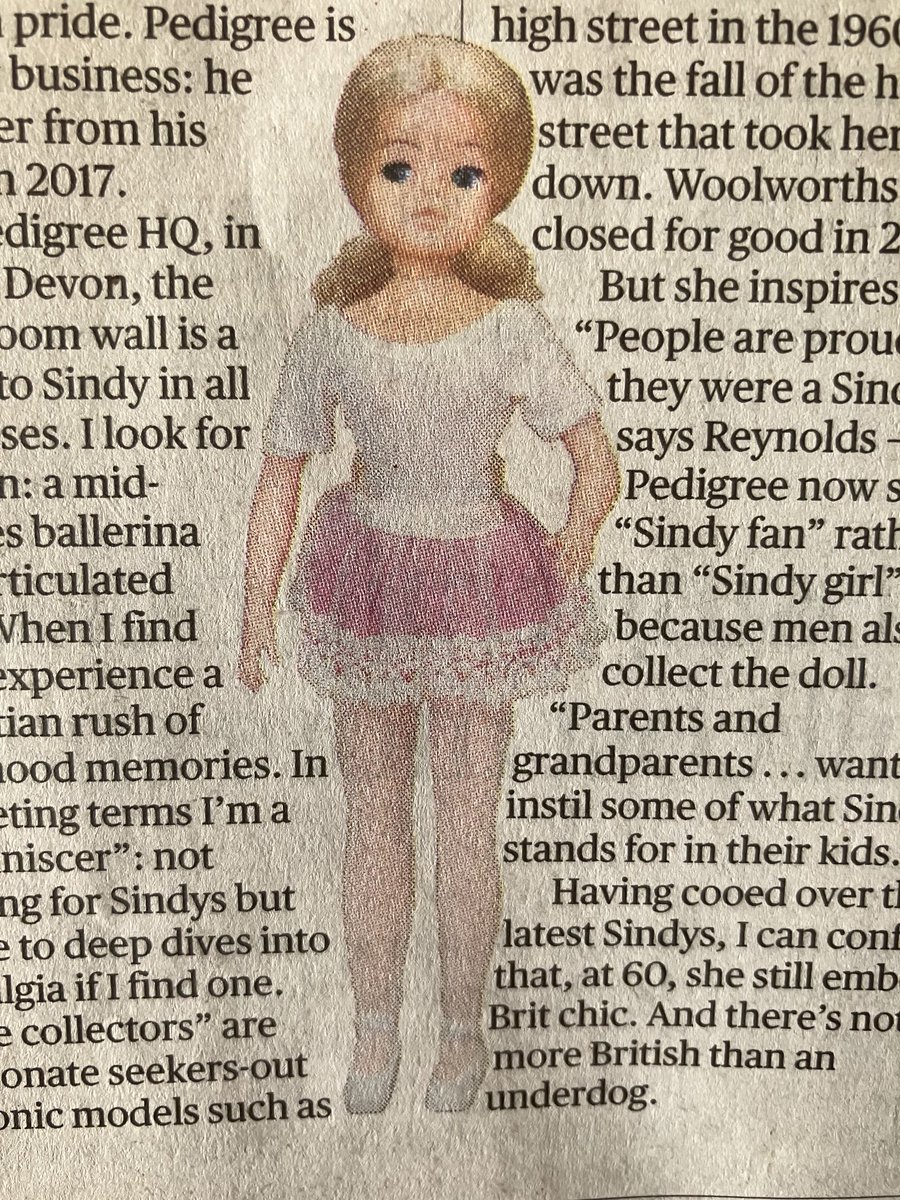 Rachel Hore ✍️🦮📚🌺 tweet media