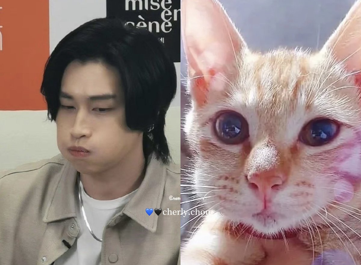 cherly_chou's tweet photo. 🤣🤣🤣🤣

#miseensceneXBIBLE 
#BibleWichapas
@biblesumett https://t.co/1ckaEj1i4a
