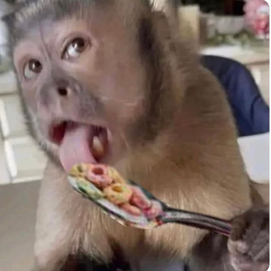 SuperH504's tweet photo. Después de comer la voy a llevar a un lugar bien bonito, donde quiero enseñarle algo y estoy seguro que le va gustar. https://t.co/l30XoZp6uX
