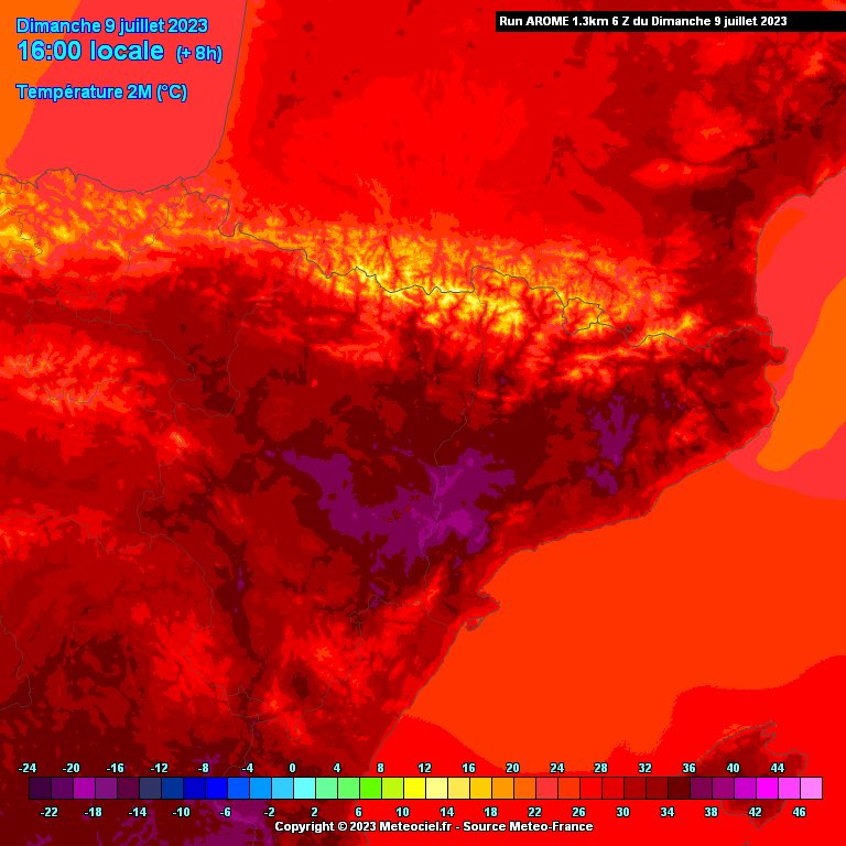 FANS DE NEU tweet media