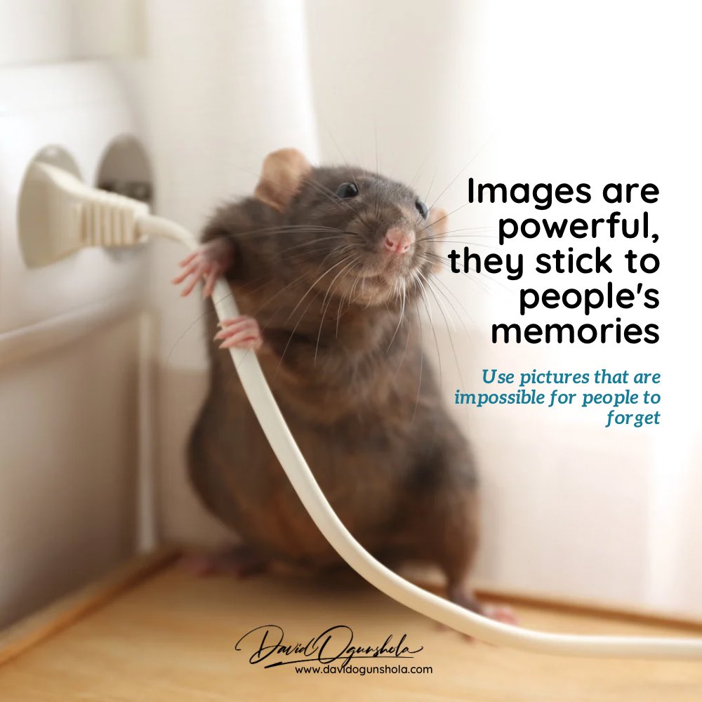 David Ogunshola tweet media