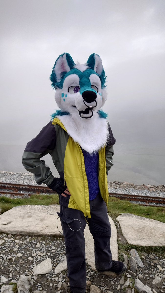 NotSproket's tweet photo. Just got back from an awesome weekend filled with fantastic people climbing Snowden and vibing hard
๐ธ @Arxxuss
@KinanB01 @hexyck @crashdayeen
#thefloofyexpedition #MountSnowden https://t.co/uhcUtiPEzy