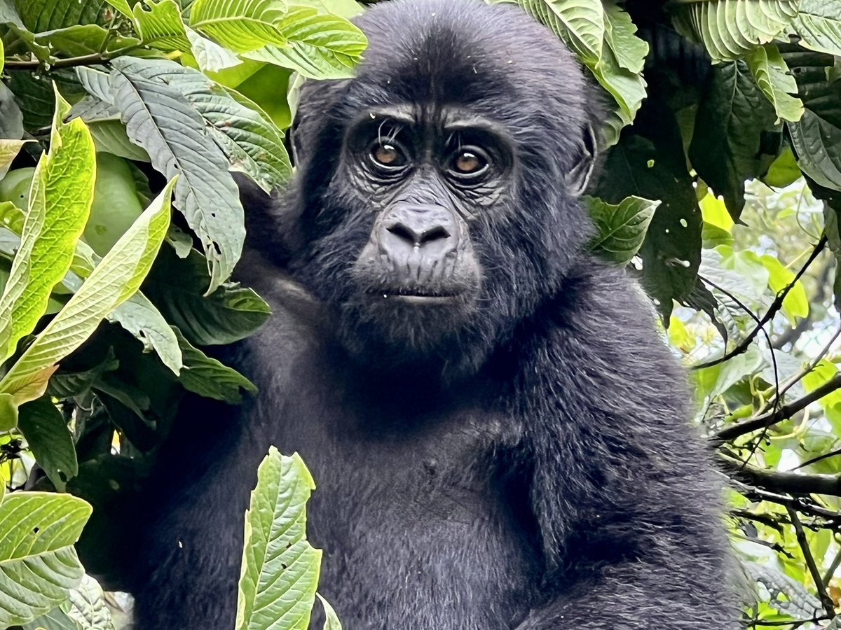 John Saunders tweet media