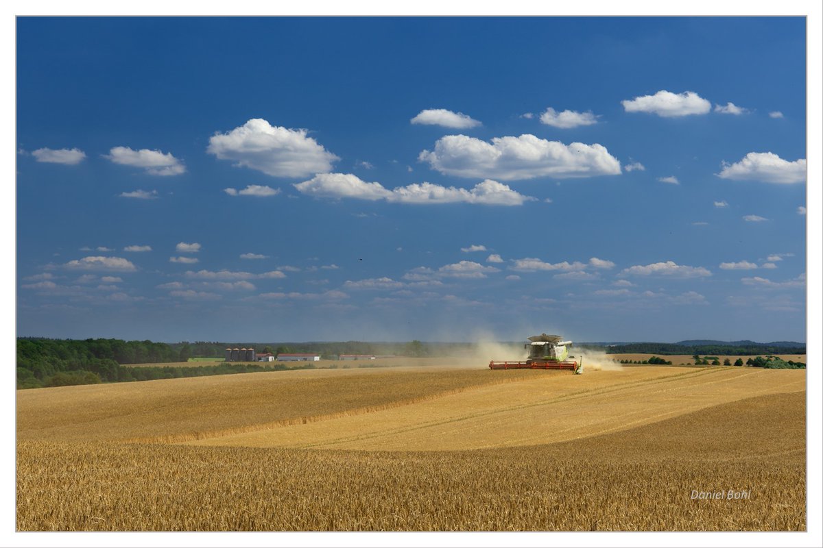 DanielBohlMV's tweet photo. Meine Lieblingsernteaussicht in die Mecklenburger Landschaft mit unserem Hof u. den Getreidesilos -
07. Juli 2023
#Ernte2023 #Mecklenburg #Lexion600 #Fotografie #Kulturlandschaft #Filterfotografie #Landtechnik #Neperstorf #Claas #Landschaftsfotografie #Ackerbau #Landwirtschaft https://t.co/ExAAmUAxN6