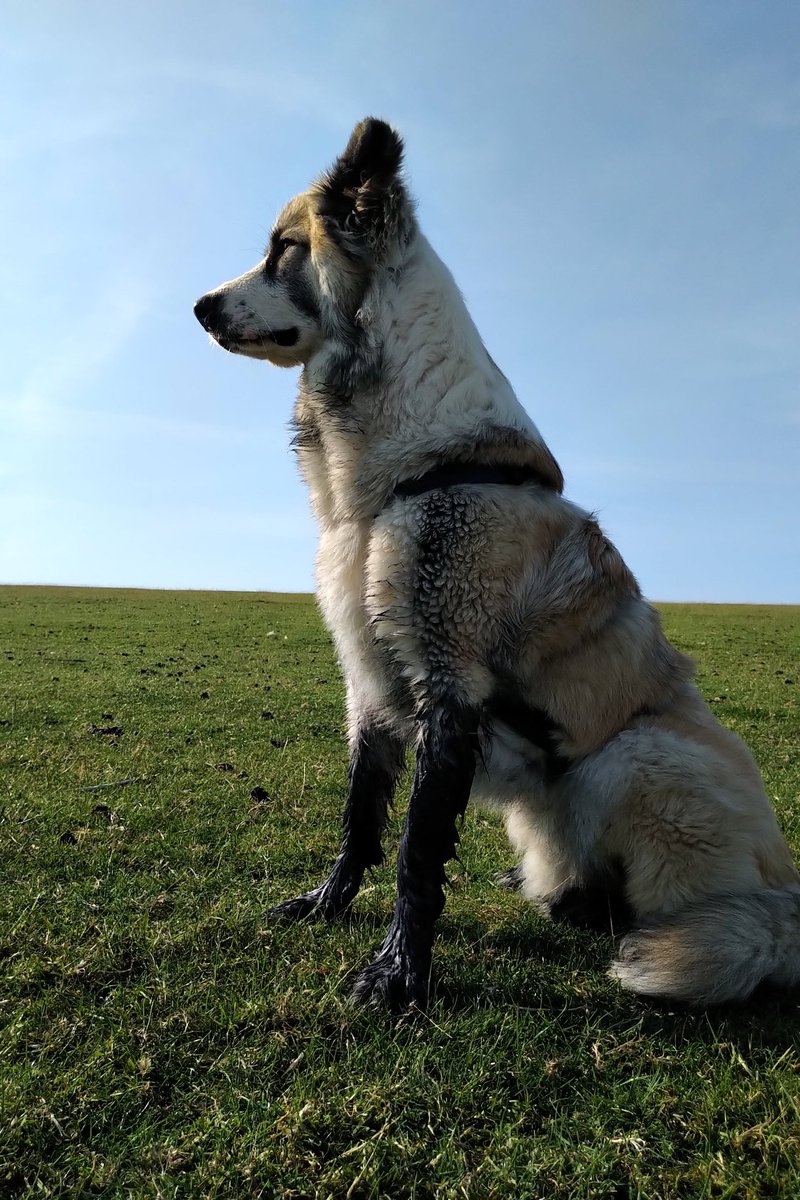 Kuckt mal, aber @twitterrudel, ich habe mir die Stiefel schwarz färben lassen. Schick, oder?

Nein, niemand war im Watt. Es hat auch niemand Schafschei*e gefressen, oder sich darin gewälzt. Es stinkt auch niemand. NIEMAND!