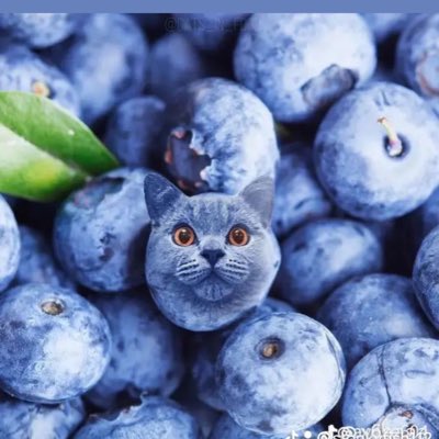 stunkyfish's tweet photo. #NewProfilePic https://t.co/IOMo5VI9R5