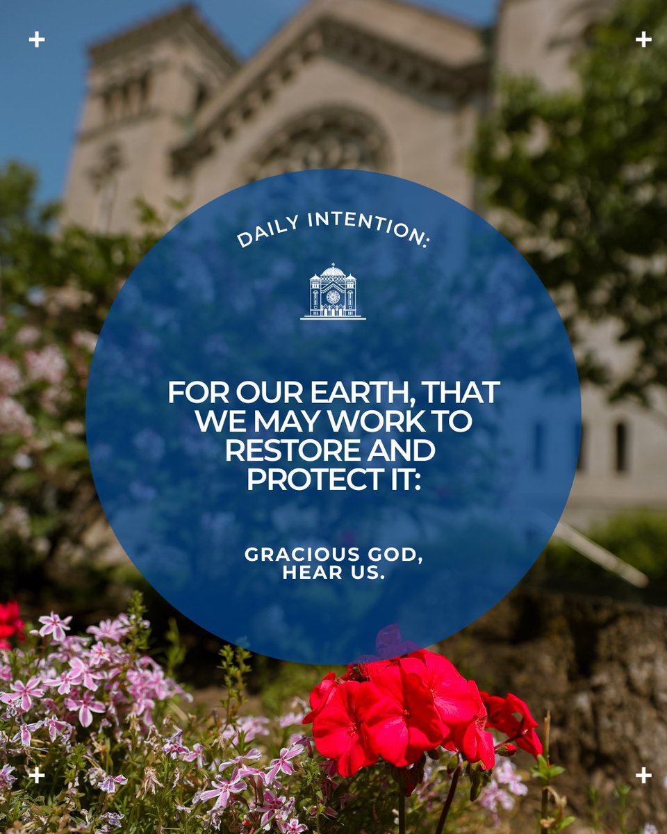 #intention #dailyprayer #laudatosi #creationcare