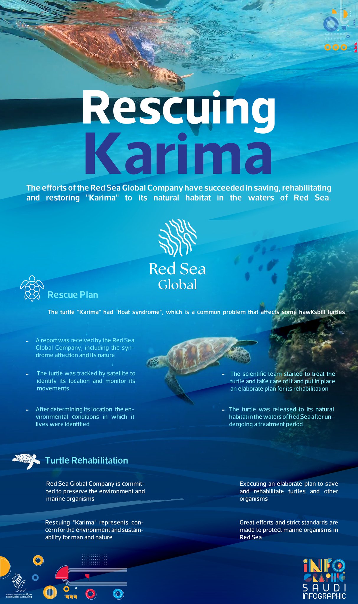 On Twitter The Red Sea Global Company Manages To on-twitter-the-red-sea-global-company-manages-to