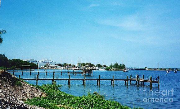 dhackett4150's tweet image. A view of the #docks lining the shoreline along the #intracoastal Waterway near Melbourne Florida D Hackett  donna-hackett.artistwebsites.com/featured/docks…