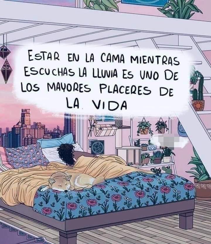 YoungBossSwagg's tweet photo. Niégalo pues..😂 https://t.co/CpTF1DUFW7