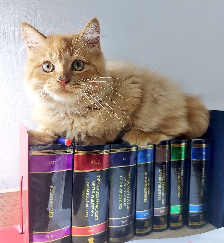 CATtorney Garfield 😸