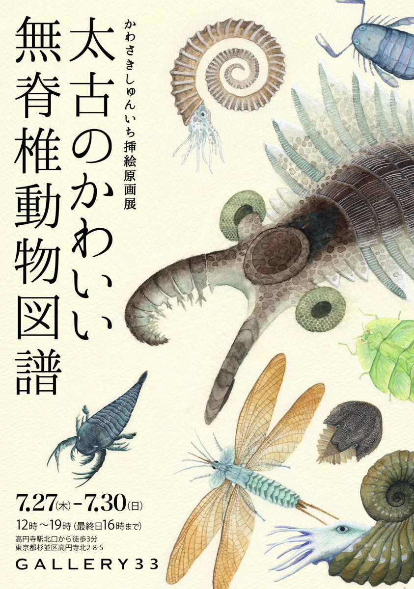 【告知】個展『太古のかわいい無脊椎動物図譜』を高円寺で開催します。古生物の中でも無脊椎動物(骨がない)たちをたくさん描きました。奇妙奇天烈と言われがちな古生物ですが、生き物好きとしてやはり「かわいい」も外せない視点なのではと思ってます!詳細等はツリーで。 