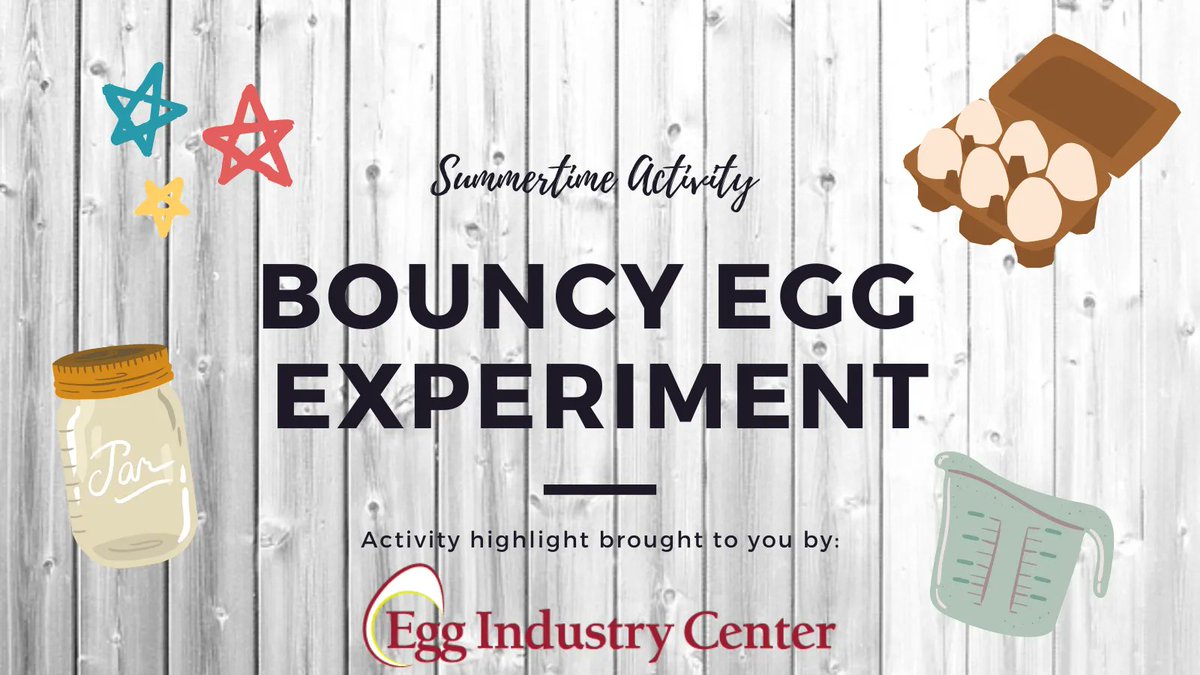 EggIndustryCntr's tweet photo. The Bouncy Egg Experiment is another fun activity with eggs to do with your kids this summer! This experiment involves testing eggs in a jar of vinegar to see what will happen to them. To learn more about this experiment click the link here: https://t.co/8Jil12aD3R. #EggScience https://t.co/ZPbnZnBUyA