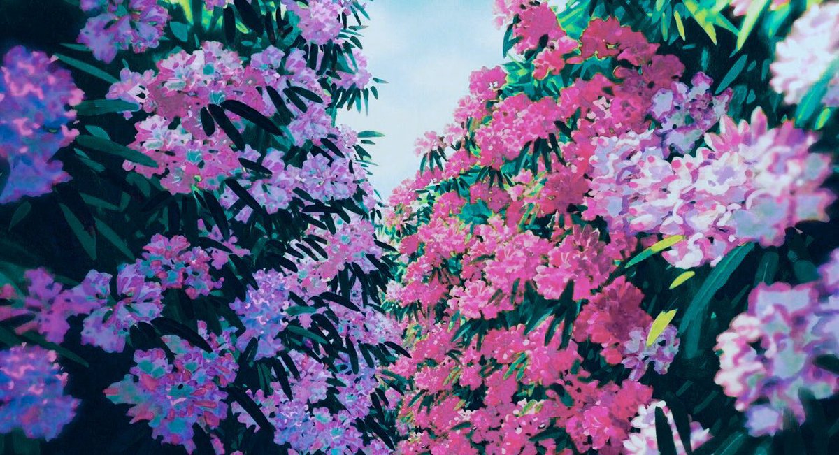 anime_'s tweet photo. Studio Ghibli Flowers 🌸 https://t.co/QOpMisTlwI