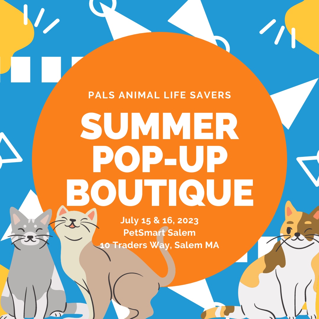 PalsCats's tweet photo. It's Summer Pop-Up Boutique Time! July 15th and 16th at our home PetSmart on 10 Traders Way, Salem MA. Come one, come all to get toys, t-shirts, greeting cards and all other sorts of things for your furry friends!

#PALSPopUp #adoptdontshop https://t.co/TCYyPLY9Ky