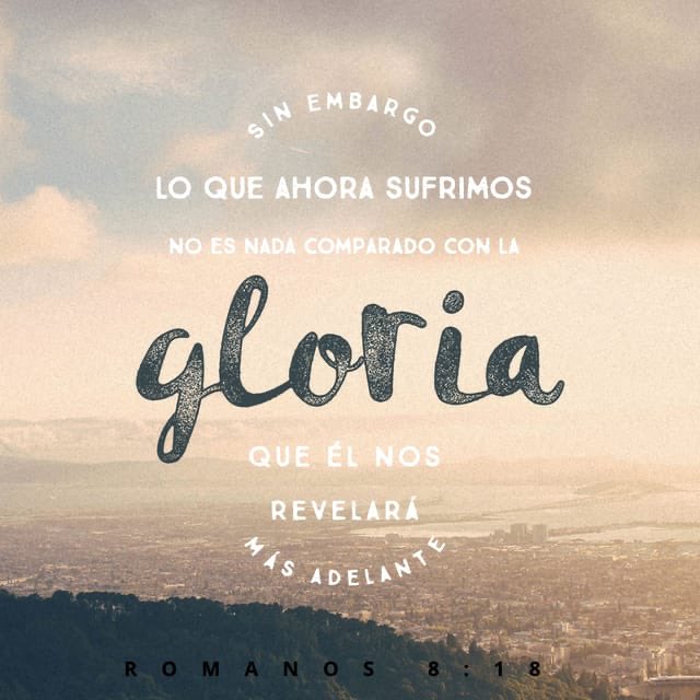 MujeresFPP's tweet photo. Hay promesa de Dios para sus hijos, pero tenemos que ser fuertes y valientes, resistir y persistir porque ya Jesús nos ha dado la victoria.
#Dios #suspromesas #Jesus #victoria #gloria #crfpp https://t.co/XQFarMsbUy