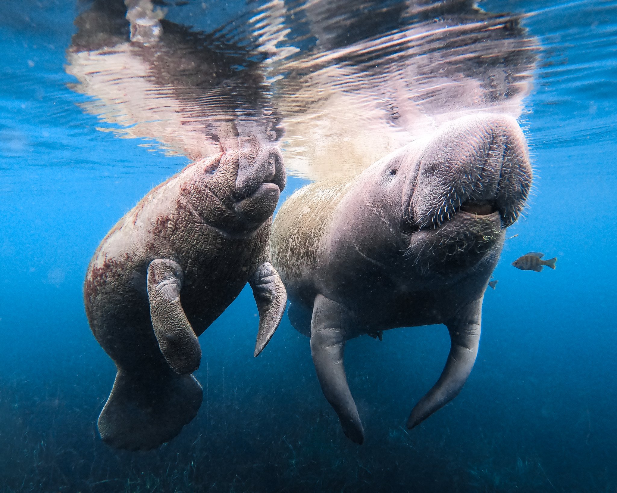 GoPro on Twitter: "Photo of the Day: Sunday mood—chillin' 😌 #