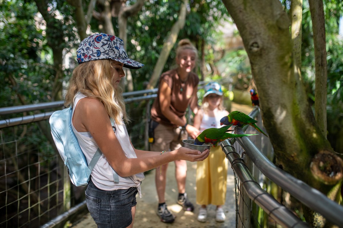 L25_CarsRegion's tweet photo. #SortieVacances Votre ligne X25 vous emmène à @TouroparcZoo ! Profitez de l'espace aquatique ouvert durant les grandes vacances pour vous rafraichir 📷! https://t.co/lW4bWmR94p