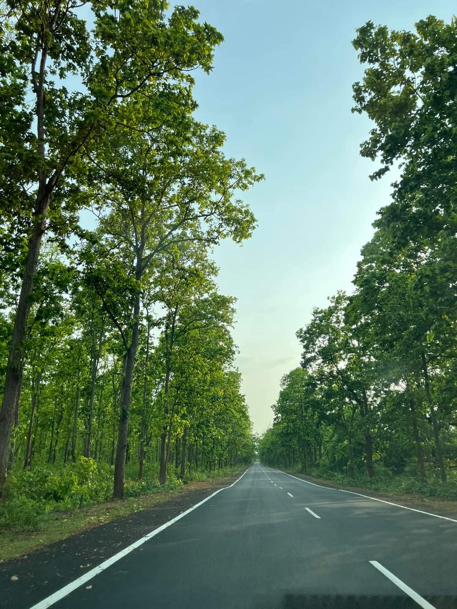 ParmeshHotstuff's tweet photo. @anandmahindra One of the roads in Orissa https://t.co/vb3oA1a9uZ