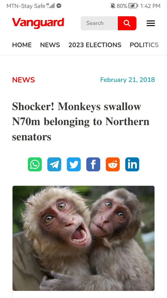 James12594123's tweet photo. Welcome to the fantastically corrupt British ZOO-Nigeria where different kinds of animals stole Billions from govt officials. Even Buhari  was chased out of his office by rodents &amp; bullion van missed it's way, ended in Tinubu's house. Biafrans want to exit Nig. @UN, @StateDept. https://t.co/DgUBCqF15W