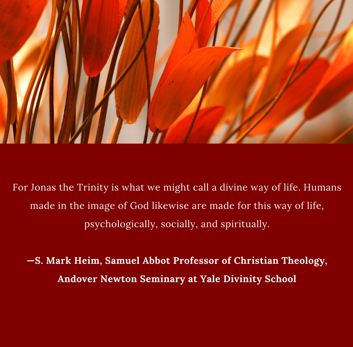 OrbisBooks's tweet photo. Robert A. Jonas reveals, in this strikingly original work, how opening the mysteries of the Trinity is key to discovering the Divine within and around us
#robertjonas #christianity #god #trinity #divine #religion #spirituality https://t.co/Kncic0wKGt