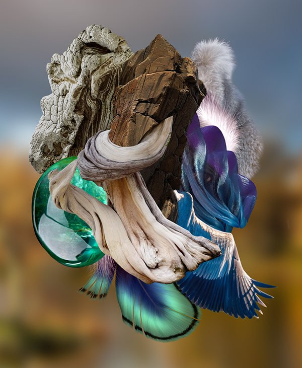 Imaginal Cells No.56 - digital collage