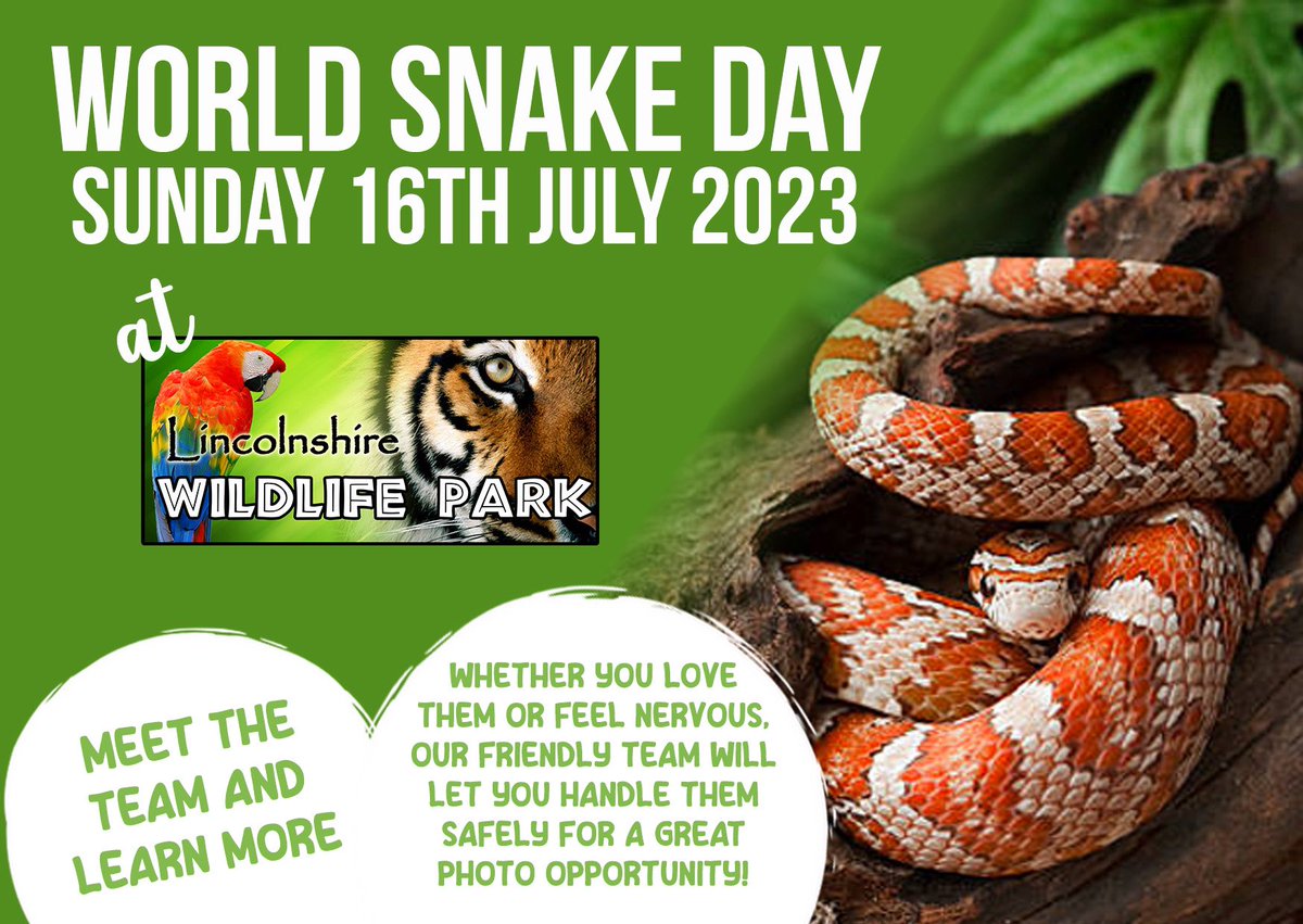 One week to go… join us for #WorldSnakeDay on #Sunday 16th July! Learn more, feel confident, get a great photo 🐍
More details 👇🏼
lincswildlife.com/snakeday2023/

@lincsblogger @LincsEvent @InfoSkegness #LincsConnect #lincolnshire #lincswildlifepark #wildlife #snakes #reptiles