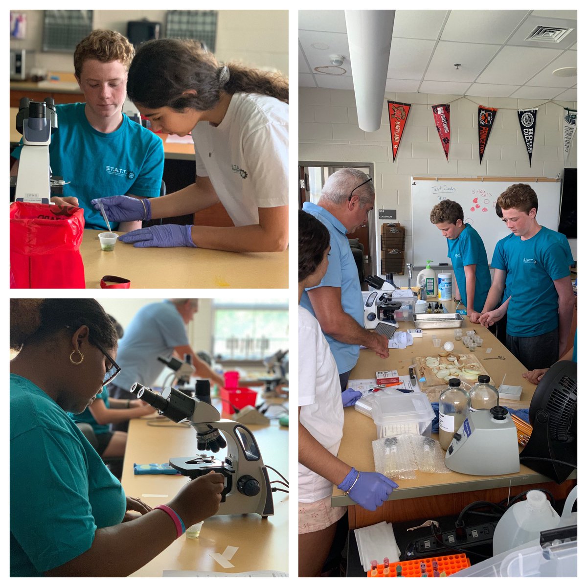 Tamara Mills tweet media