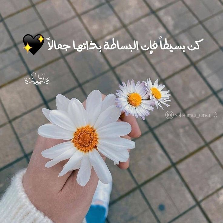 ye_habbeh_rang's tweet photo. ساده باش...سادگی بخودی خود، زیباییه🌸
#ترجمه_عربی https://t.co/c3MXu28Ulu