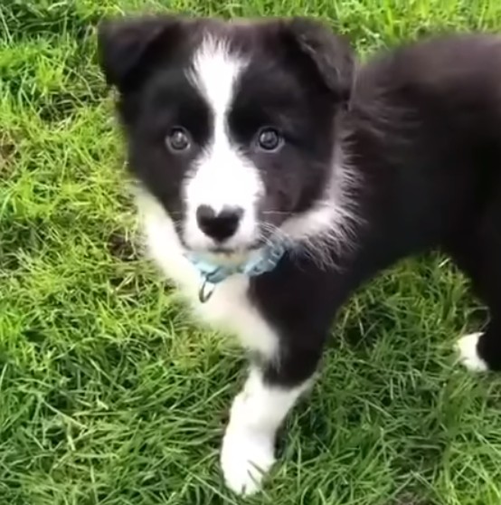 Summer Mystery Sale ~ Reveal Your Deal Today - mailchi.mp/petmountain/my…