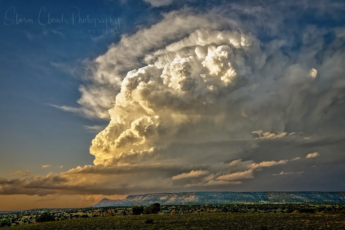 Laura Hedien- Storm Clouds Photography (@lhedien) on Twitter photo A #NewMexico #supercell #storm near #Vaughn in June. π©οΈππ· #cloudscape #weatherphotography #weather #clouds #sky #thunderstorm #nikonusa #z9 #nikonoutdoors #stormhour #wxtwitter #thephotohour @xwxclub #natgeoyourshot #zcreators #bestoftheUSA_weather <a href="/CloudAppSoc/">Cloud Appreciation Society</a> A #NewMexico #supercell #storm near #Vaughn in June. π©οΈππ· #cloudscape #weatherphotography #weather #clouds #sky #thunderstorm #nikonusa #z9 #nikonoutdoors #stormhour #wxtwitter #thephotohour @xwxclub #natgeoyourshot #zcreators #bestoftheUSA_weather <a href="/CloudAppSoc/">Cloud Appreciation Society</a>