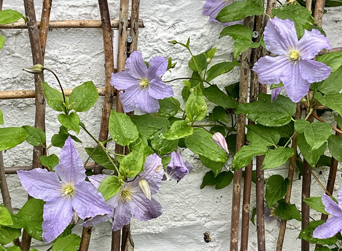 MarkSmedley tweet media