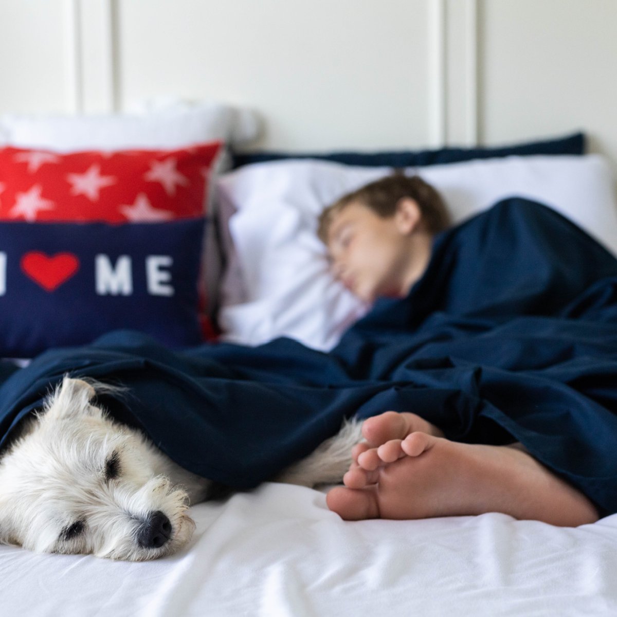 DeliciouslySavv's tweet photo. 🎉Savvy Deal Alert!🎉 Upgrade Your Bedding To Include @PeachSkinSheets 🍑 & Begin Enjoying Your Best Nights Sleep Ever! PLUS Save 25% SITEWIDE Using Code PRIMETIME at the checkout! #2023BackToSchoolGiftGuide🚌

Read My review To Learn More
👉https://t.co/cAUUdmNmrZ via @deliciouslysavv

#PeachSkinSheets #BackToSchool #ComfyBedding #shabbychic