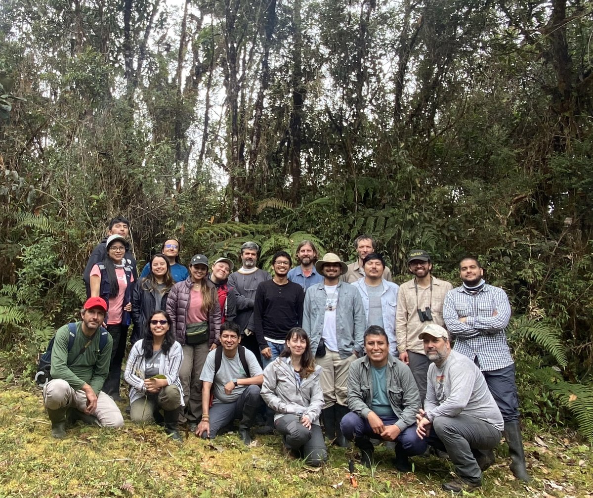 pedoconnective's tweet photo. Amazing experience with @gloquidias @renato_rgolden and @dendrorex. We recently concluded a week-long course on #melastomataceae systematics, taxonomy and evolution in Oxapampa, Peru with 14 students from 6 countries. Fully funded by @NSF. https://t.co/lUIi58eqZp