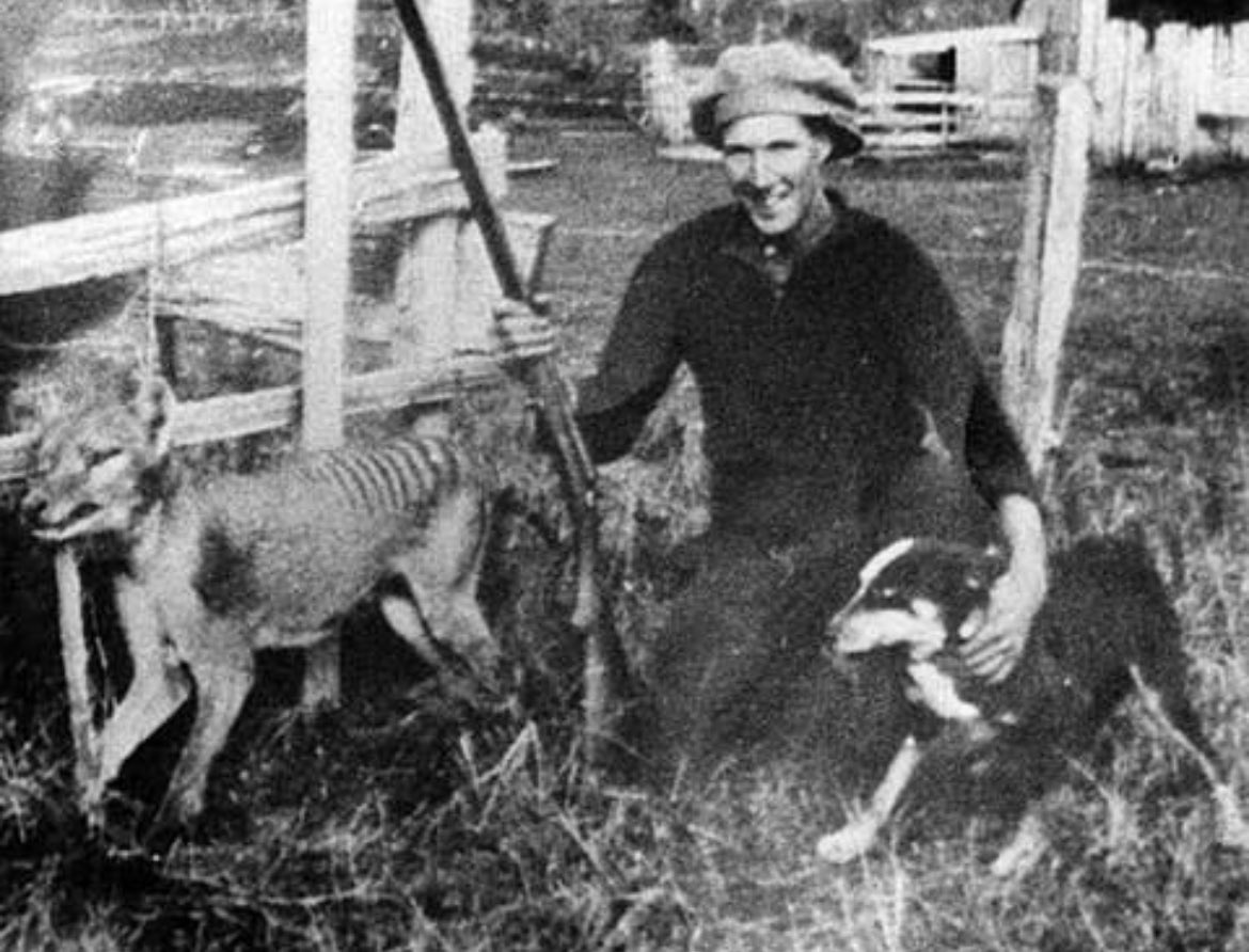 Historic Vids tweet media