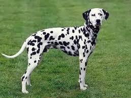 عمر مدنيه tweet media